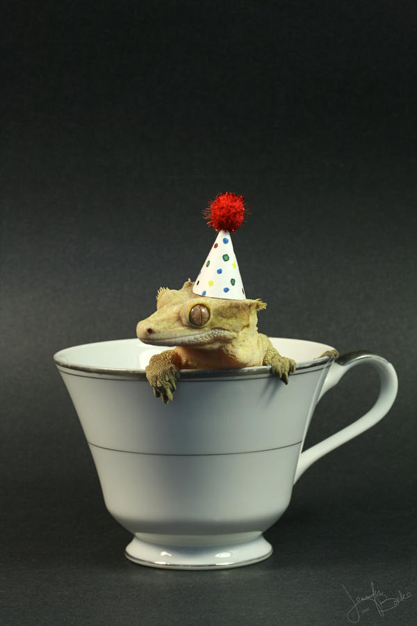 Not My Cup by CatharsisJB