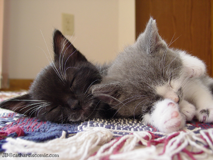 Tim and Charlie napping