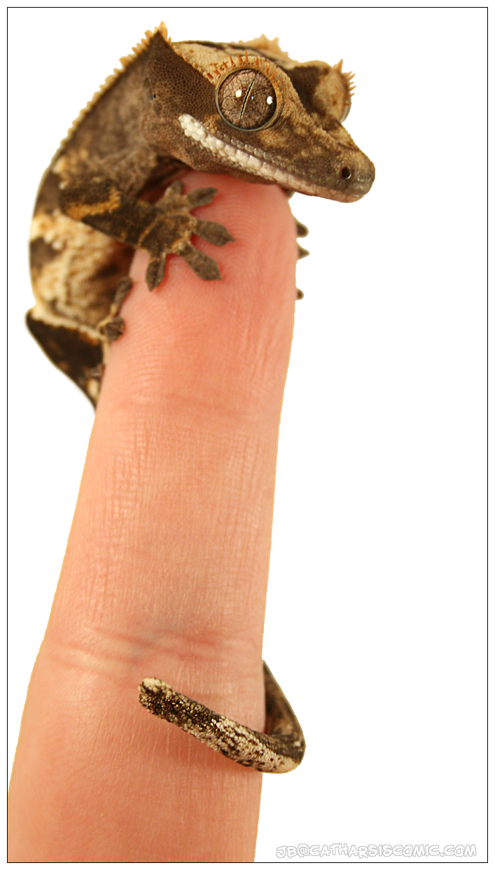 Cold-Blooded Finger Warmer