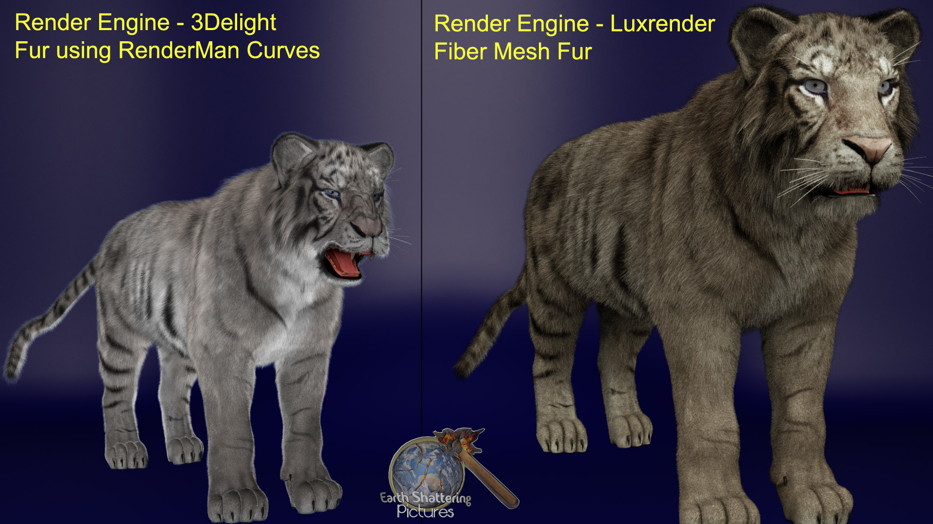 Tiger Comparison