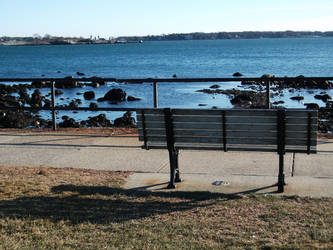 Empty winter bench