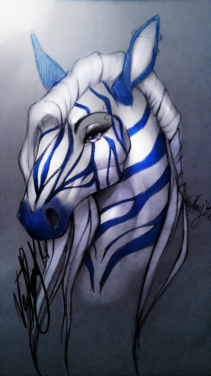 Blueberry Flavored Zebra