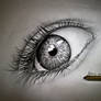 eye