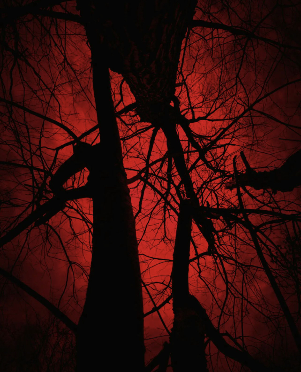 Blood Red Night by eolmedillo on DeviantArt