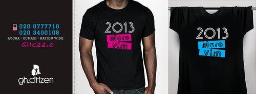 2013 . . . Vim T-shirt