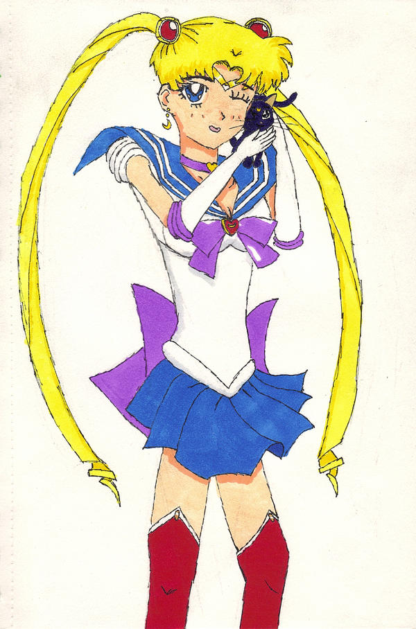 Sailor moon and cat