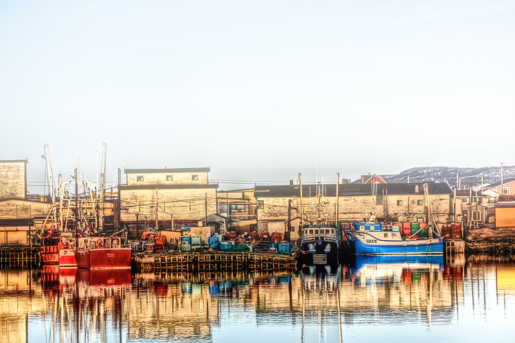 Crab Processing - Wharf Side