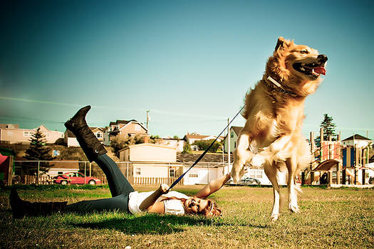 Flying Puppies