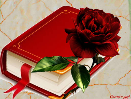 THE RED BOOK