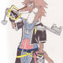 Videogame Crossover - Sora