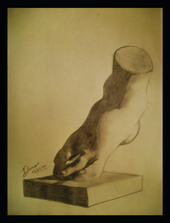 Anatomic Sketch No 12