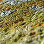 Rust