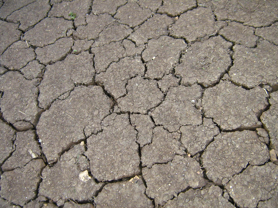 Dry Earth