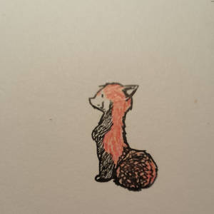 Red Panda