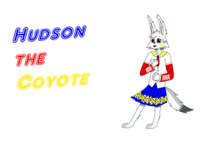 Hudson the Coyote