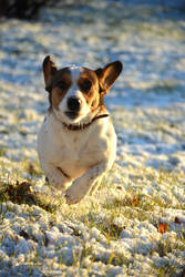 First snow