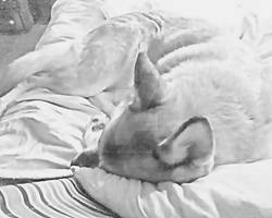 Smidge-pencil Filtered