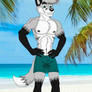 Fidencio Fox At The Beach