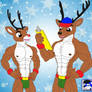 Rudolph's Results