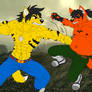 Rival Battle