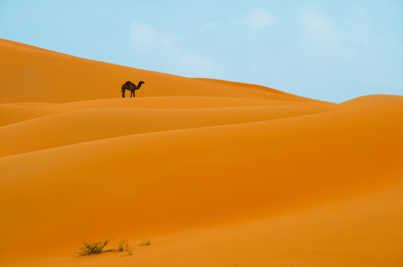 Among Sand dunes