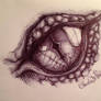 Smaug eye