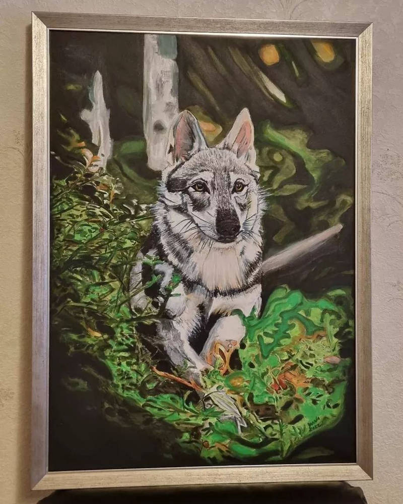 SINKO SUPERWOLF PORTRAIT by DianaBathory on DeviantArt