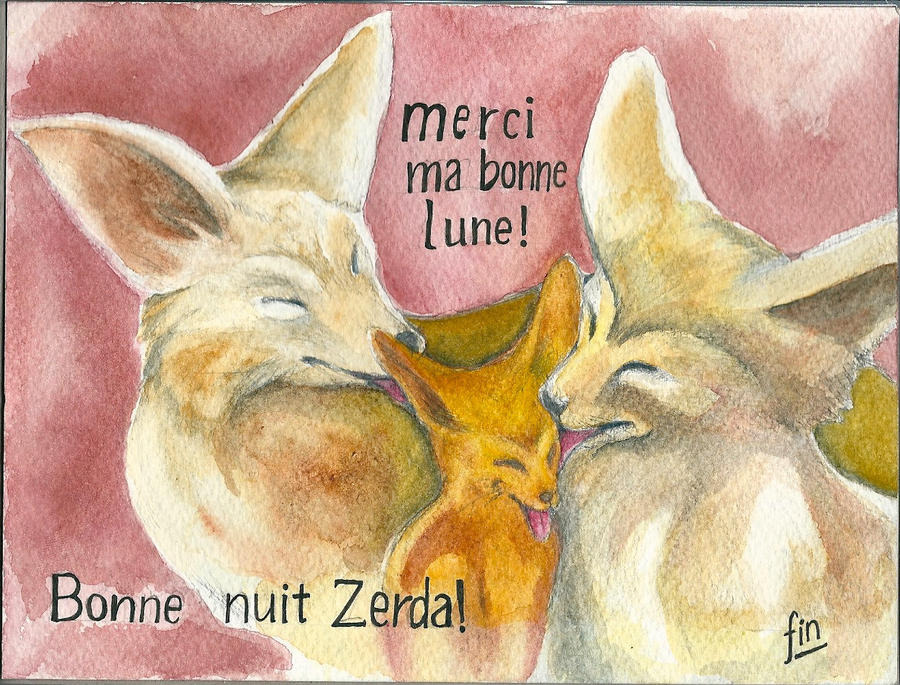 ZERDA FINAL 14