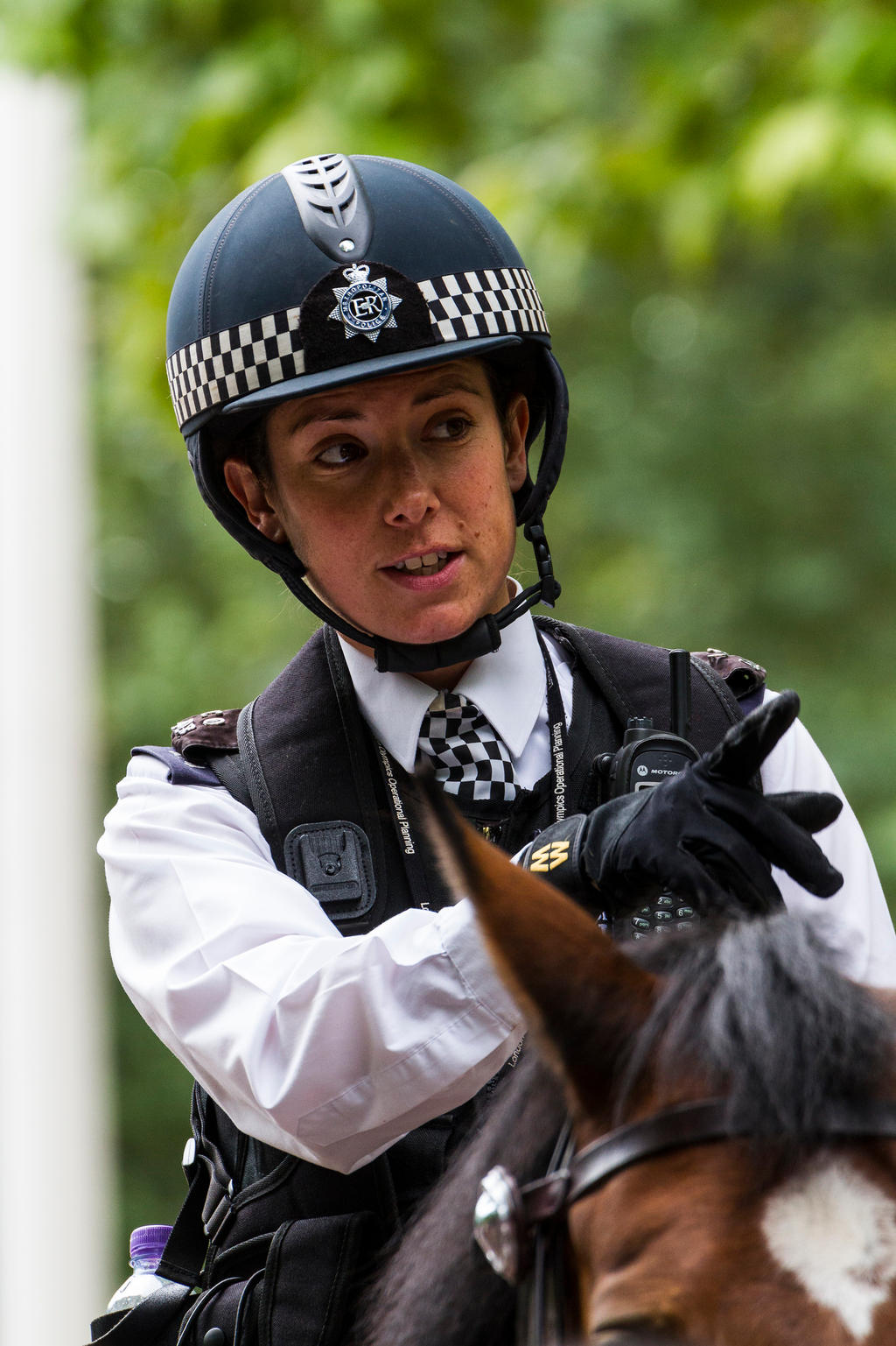 Another Mounted WPC by Count-Phoenix on DeviantArt