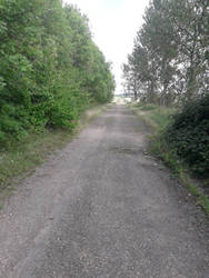 Count-Phoenix - Writer | DeviantArt