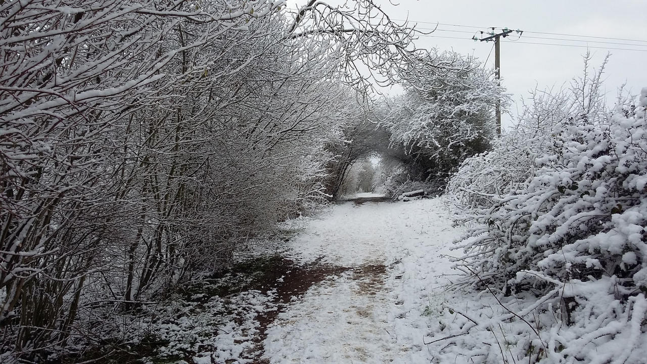 Happy New Year Deviants by Count-Phoenix on DeviantArt