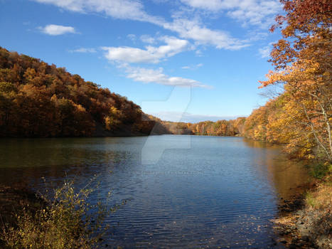 A View from a Local Reservoir