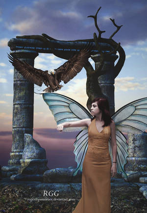 Winged Companion by RogerioGuimaraes Winged Companion by RogerioGuimaraes