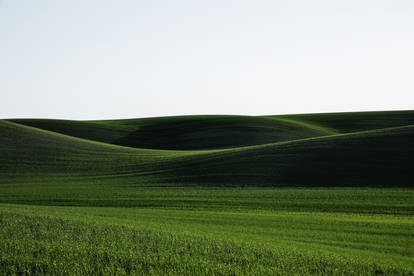 Default Windows XP background