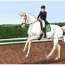 OVEC Dressage