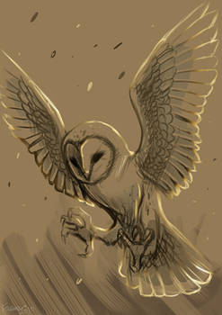 barn owl wip