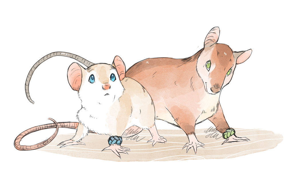 Rats And Mice by MikaelHankonen