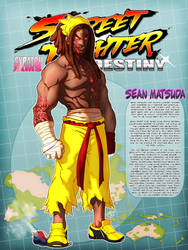 STREET FIGHTER DESTINY: Sean Matsuda
