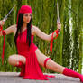 Elektra red dangerous ninja