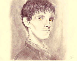 Merlin by DulaniY