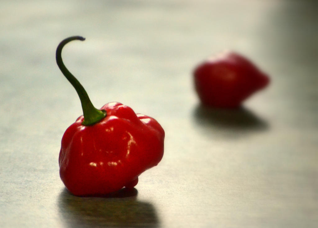 Red hot pepper