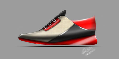 Shoe Concept