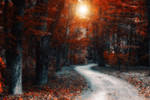 lost time by ildiko-neer