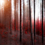 soul strings by ildiko-neer