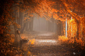 Waiting to Fall by ildiko-neer