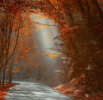 Smoky Autumn by ildiko-neer