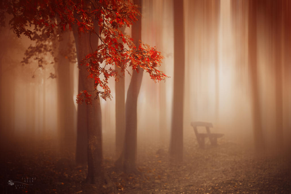 What About Us by ildiko-neer