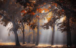 Heaven by ildiko-neer