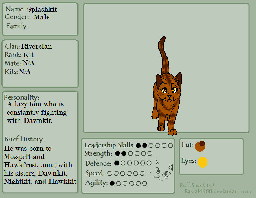 Splashkit by Jayfeather-is-awsome on DeviantArt