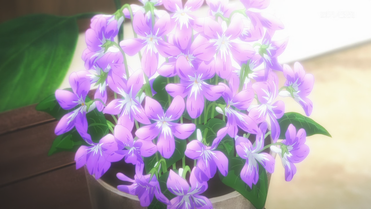 Violet09 Premux 001 30393